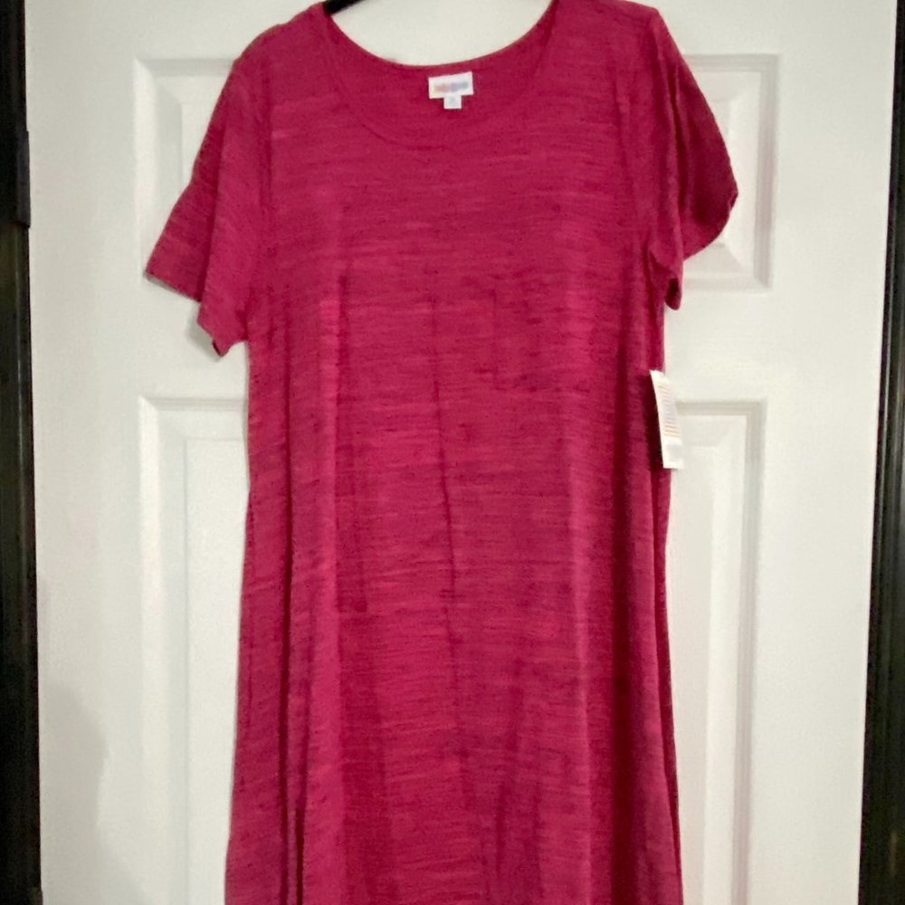 NWT Lularoe Carly - M